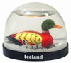 iceland.jpg