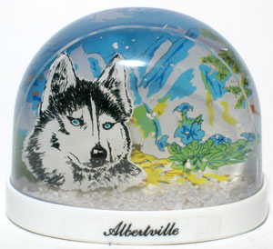 albertville04.jpg