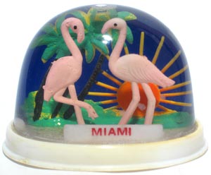 miami.jpg