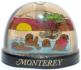 monterey01.jpg