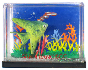 sanfrancisco_aqua.jpg