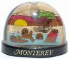 monterey01.jpg