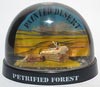 pforest01.jpg