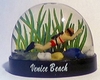 veniceb01.jpg