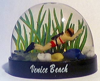 veniceb01.jpg